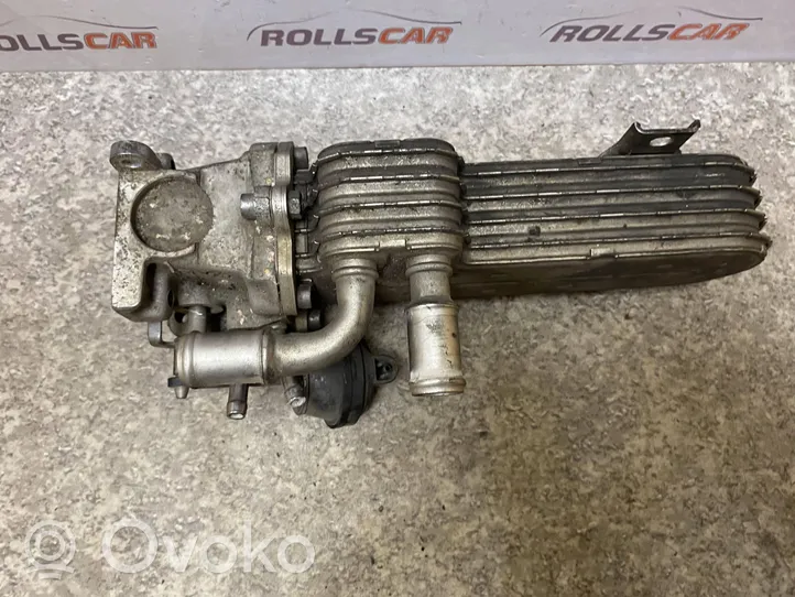 Skoda Octavia Mk2 (1Z) EGR valve cooler 03G131513J