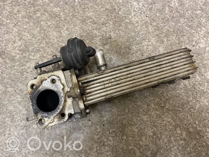 Skoda Octavia Mk2 (1Z) EGR valve cooler 03G131513J