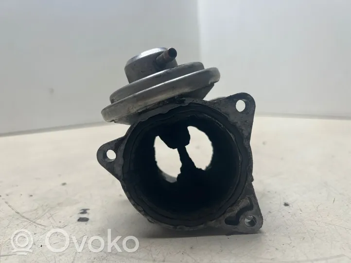 Volkswagen PASSAT B6 EGR vožtuvas 038131501A