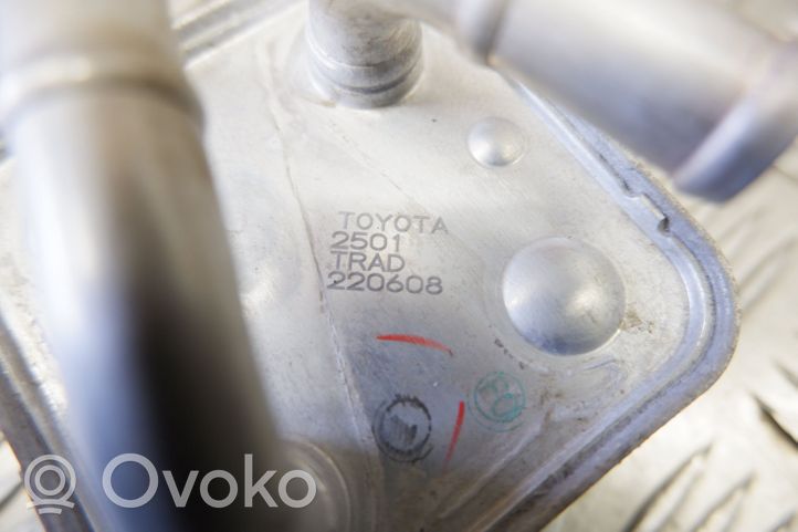 Toyota RAV 4 (XA50) Halterung Ölfilter / Ölkühler 1571025010