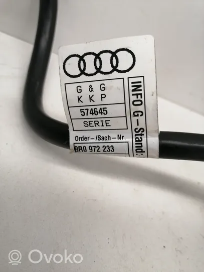 Audi Q5 SQ5 Минусовый провод (аккумулятора) 8R0972233