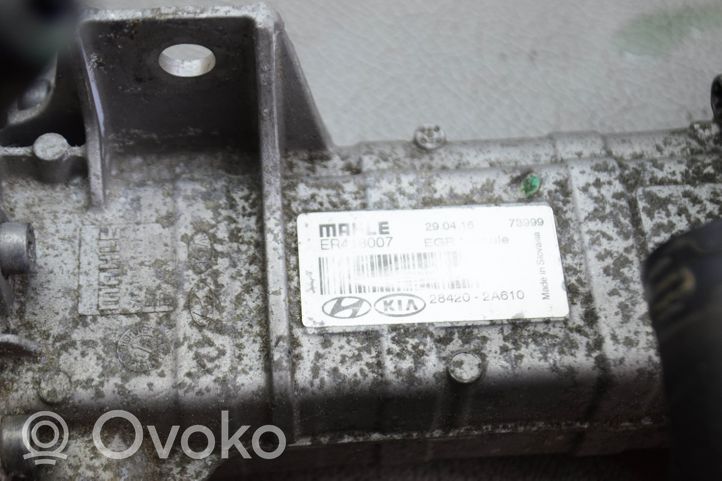 KIA Sportage Refroidisseur de vanne EGR 284202A610