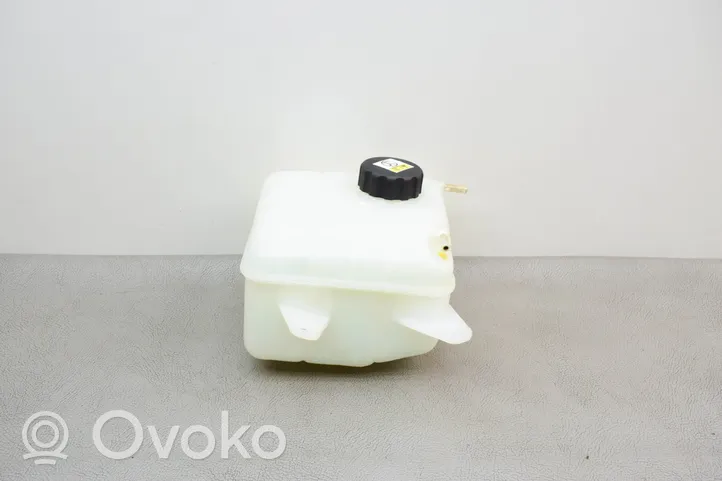 SsangYong Rexton Serbatoio di compensazione del liquido refrigerante/vaschetta 