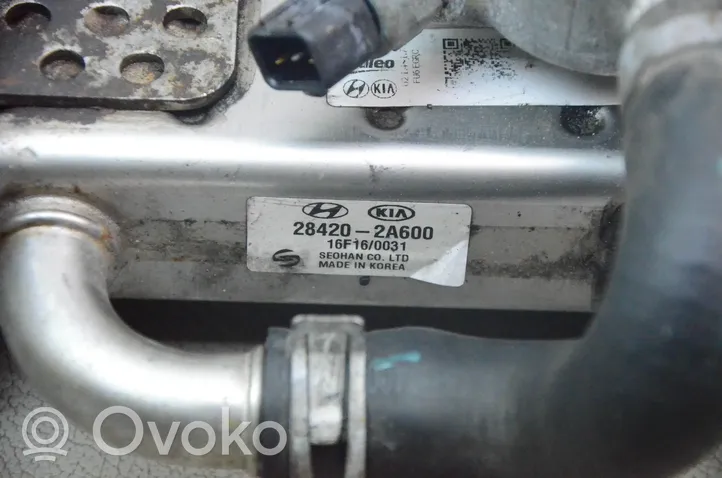 KIA Optima EGR aušintuvas 284202A600