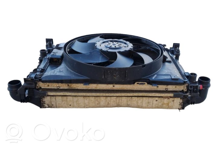 A2049061403 Mercedes-Benz B W246 W242 Electric radiator cooling  