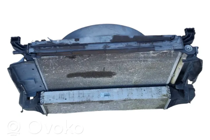 A2049061403 Mercedes-Benz B W246 W242 Electric radiator cooling  