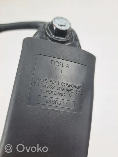 Tesla Model X Etuistuimen turvavyön solki 101949305E