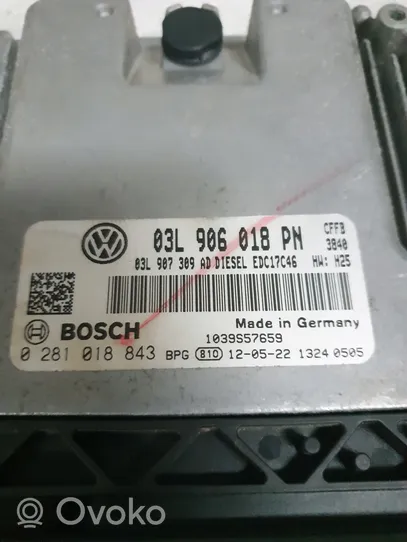 Volkswagen Beetle A5 Centralina/modulo del motore 03L906018PN