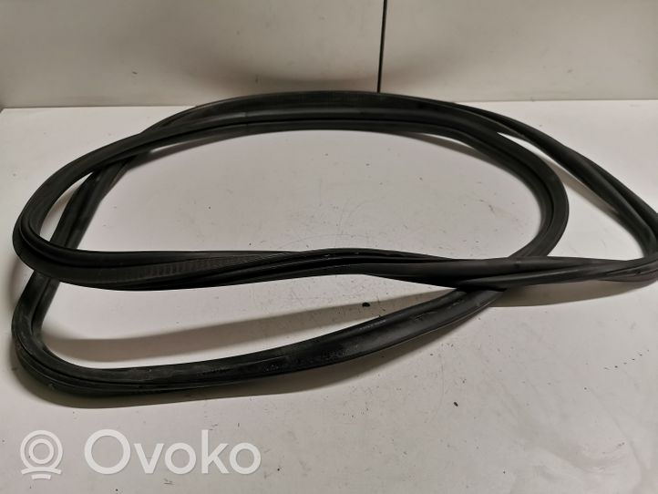 BMW 3 F30 F35 F31 Loading door rubber seal (on body) 7255635