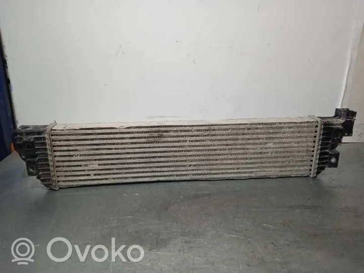 Nissan NV400 Chłodnica powietrza doładowującego / Intercooler 144960015R