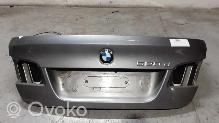 BMW 5 F10 F11 Cappelliera 41627240552