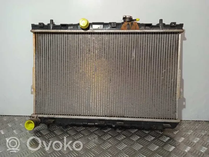 Hyundai Elantra Radiateur de refroidissement 2002039