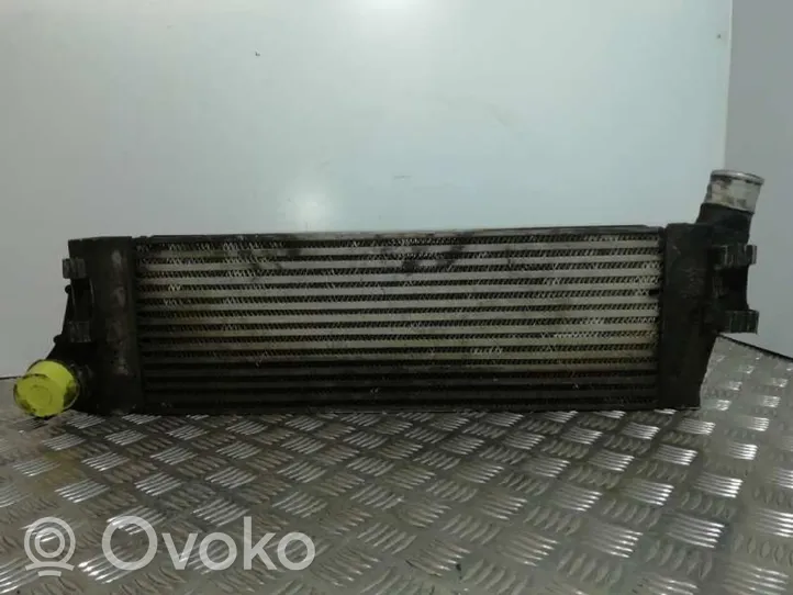 Renault Scenic RX Chłodnica powietrza doładowującego / Intercooler 820011540