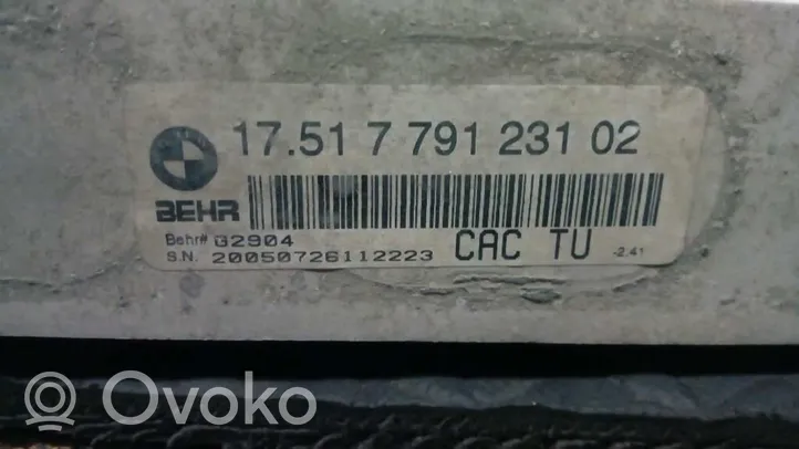 BMW X5 E53 Refroidisseur intermédiaire 1751779123102