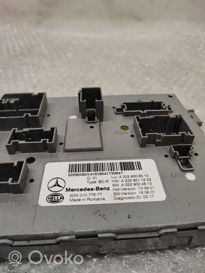 Mercedes-Benz C AMG W205 Other control units/modules A2229006014