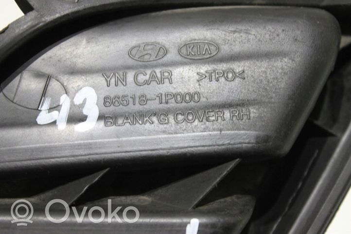 KIA Venga Mascherina inferiore del paraurti anteriore 865181P000