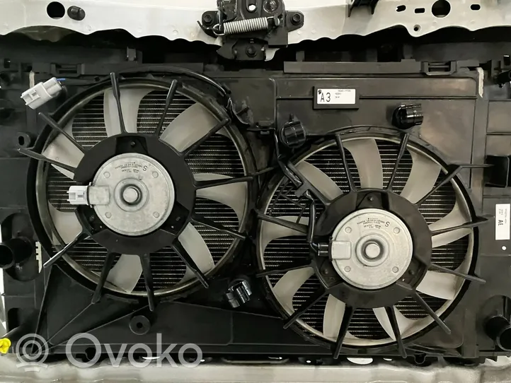 Toyota Auris E180 Set del radiatore 