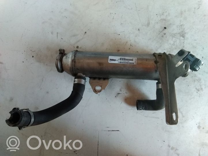 Fiat Multipla EGR-venttiili/lauhdutin 46810017