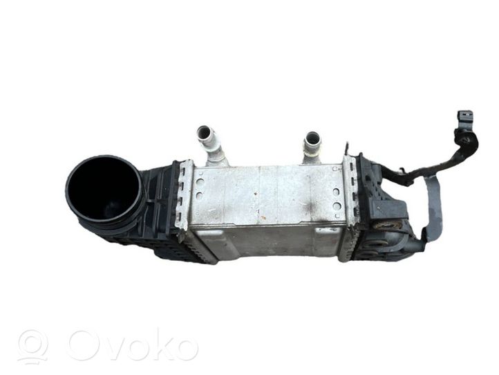 Volkswagen Crafter Chłodnica powietrza doładowującego / Intercooler 04L145749H