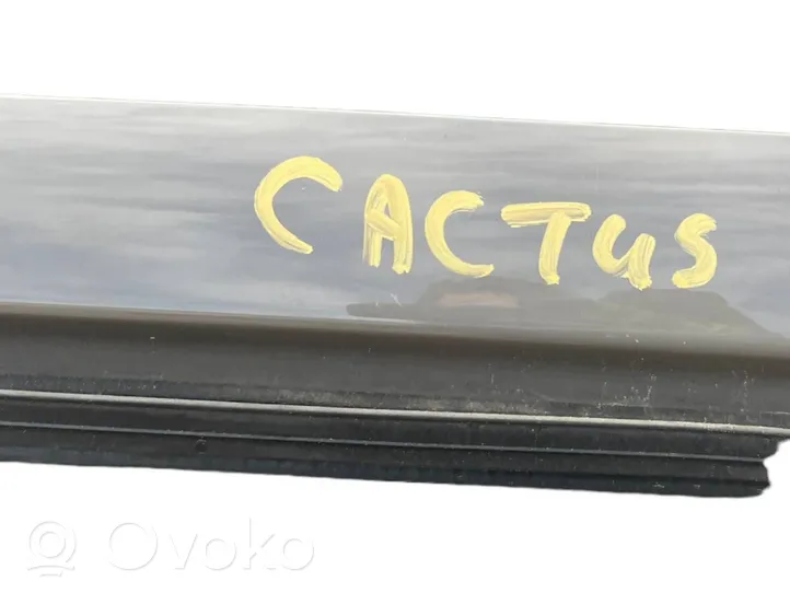 Citroen C4 Cactus Rear door 