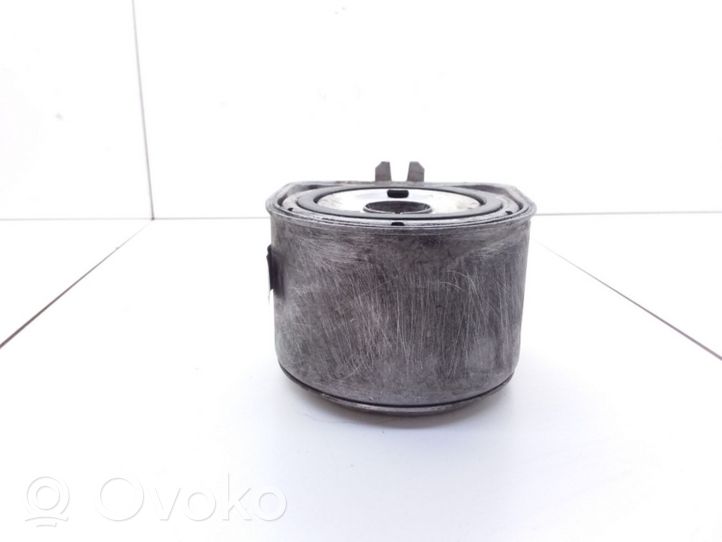 Peugeot 406 Halterung Ölfilter / Ölkühler 9650863380