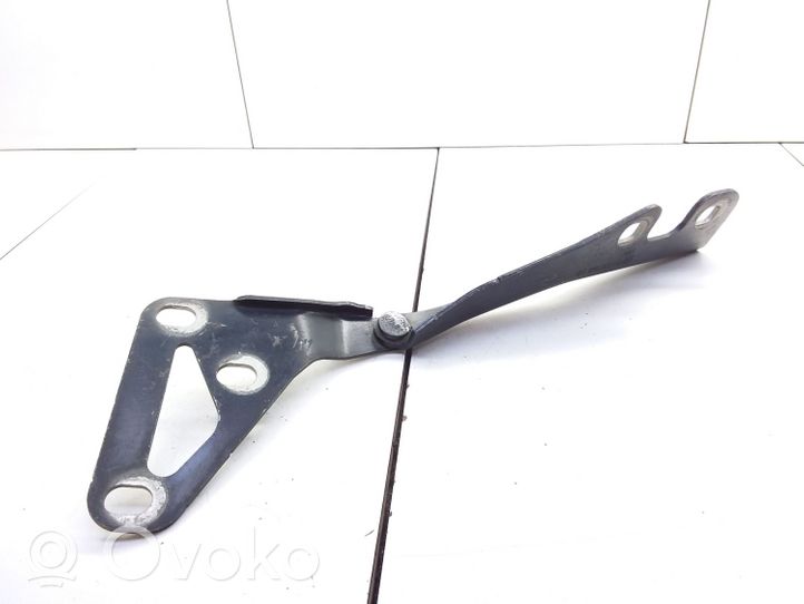 Opel Vectra C Cerniere del vano motore/cofano 24435368