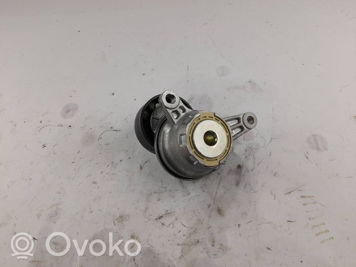 Volkswagen Golf VIII Tendicinghia generatore/alternatore 04L903315J