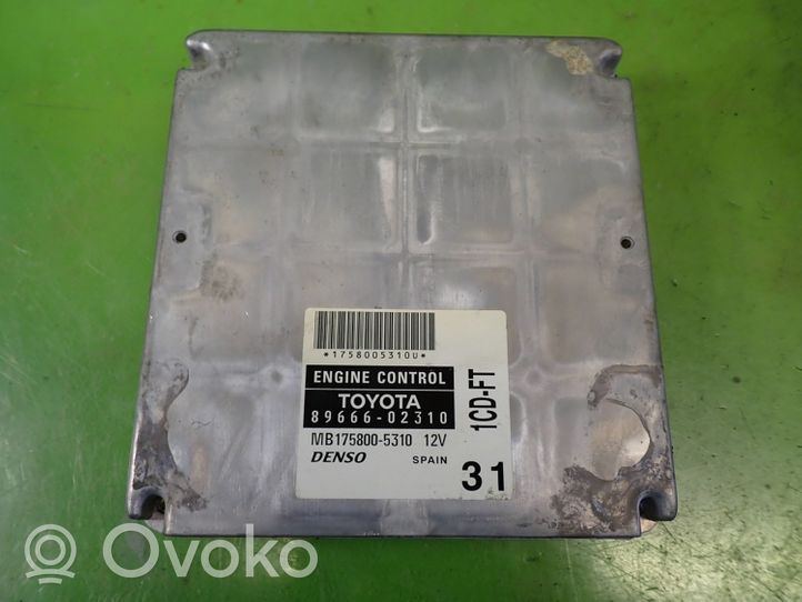 Toyota Corolla E120 E130 Galios (ECU) modulis 89666-02310