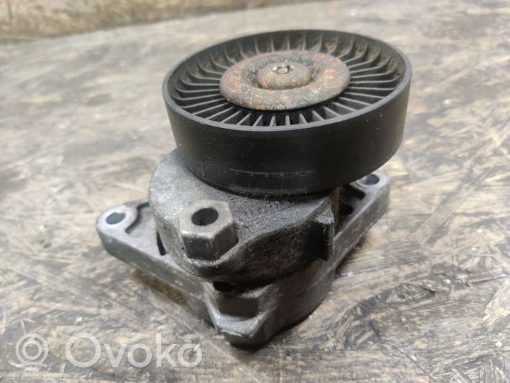 Mercedes-Benz CL C215 Napinacz paska alternatora A1122000970