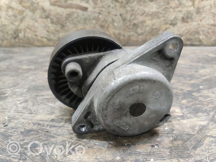 Mercedes-Benz CL C215 Napinacz paska alternatora A1122000970