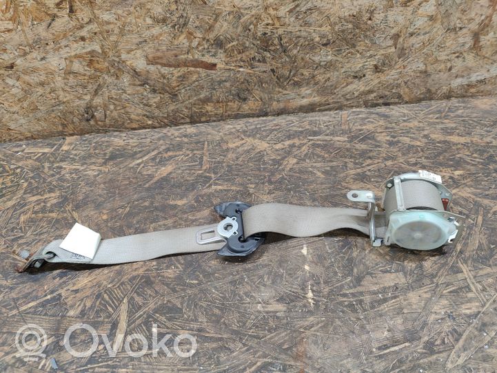 Acura ZDX Ceinture de sécurité arrière 2434038