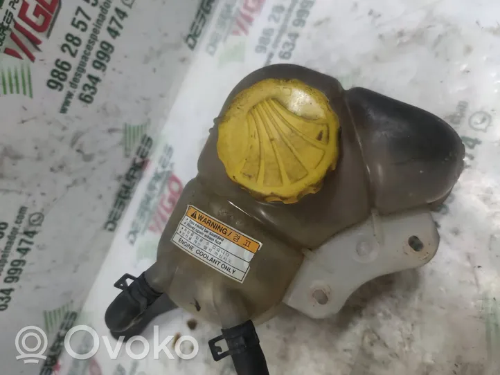 Daewoo Lanos Coolant expansion tank/reservoir 