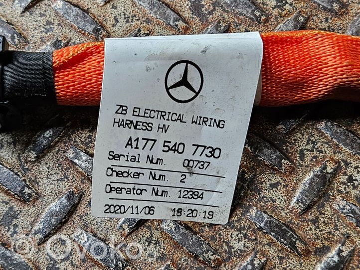 Mercedes-Benz A W177 Autres faisceaux de câbles A1775407730