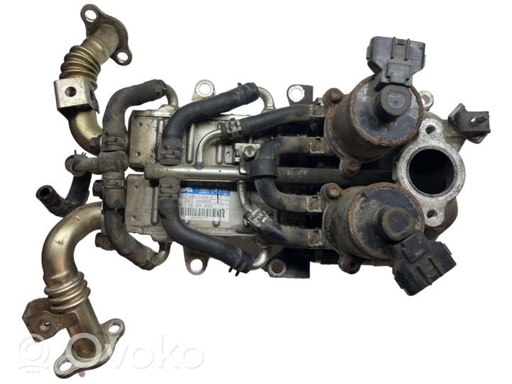 Toyota Land Cruiser (J200) EGR aušintuvas 2568051010