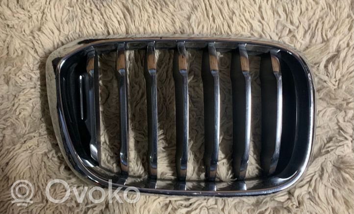 BMW X3 G01 Front grill 51138091726