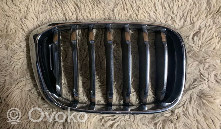 BMW X3 G01 Front grill 51138091726