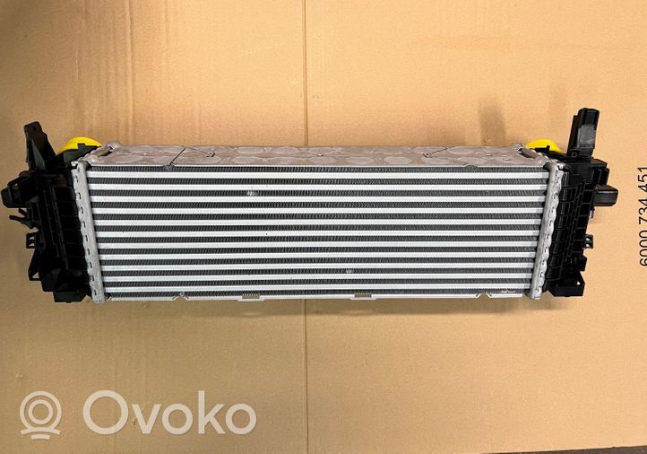 BMW X6 G06 Radiatore intercooler 17518584127