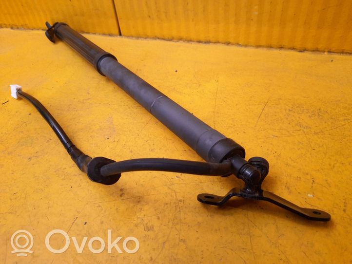 Toyota RAV 4 (XA50) Support de levage de hayon 6891042060