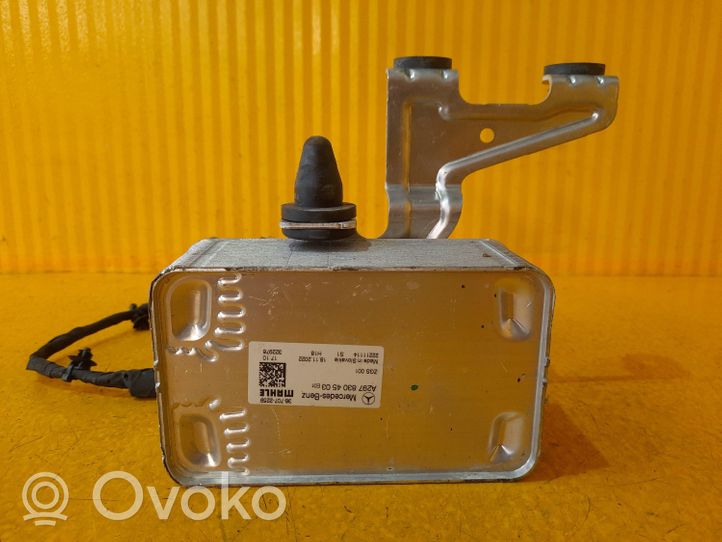 Mercedes-Benz EQS V297 Radiatore di raffreddamento A2978304503