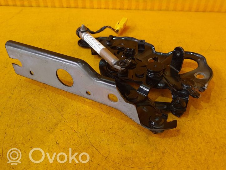 Volkswagen Touareg III Cerniere del vano motore/cofano 760823301F