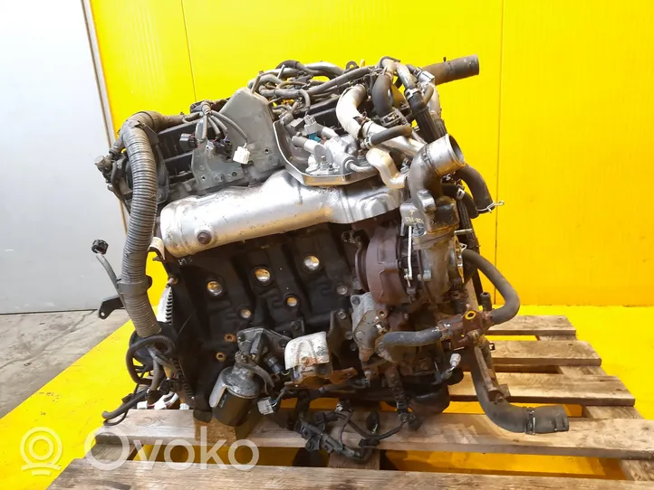 Toyota Hilux (AN120, AN130) Moteur 2GD