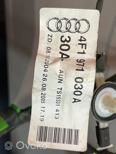 Audi A6 S6 C6 4F Wiązka przewodów drzwi przednich 4F1971030A