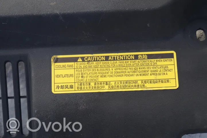 Toyota Highlander XU70 Elementy przedniej części nadwozia 53295-OE050