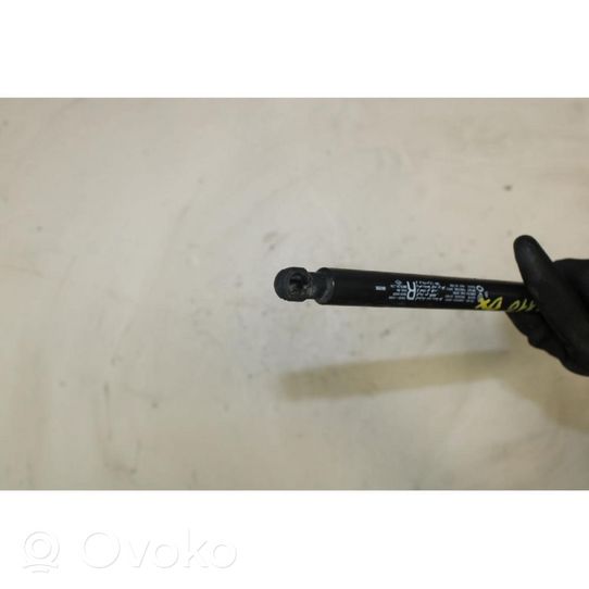 Renault Koleos I Rear window strut damper 