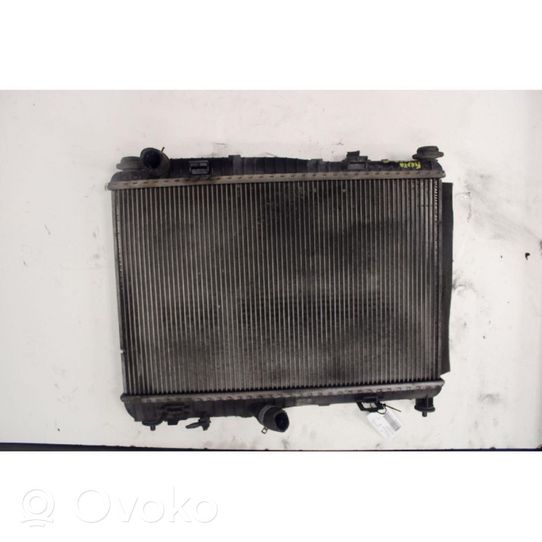 Ford Fiesta Mazais radiators 