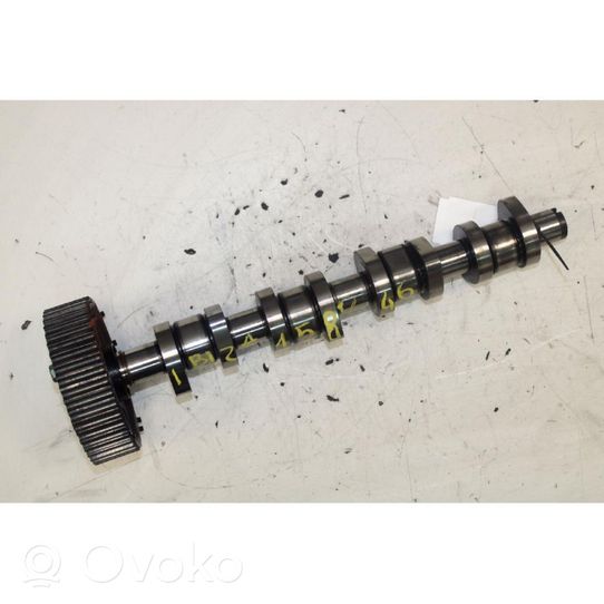 Seat Ibiza III (6L) Camshaft 