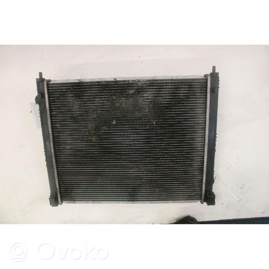 Nissan Juke I F15 Radiateur de chauffage 