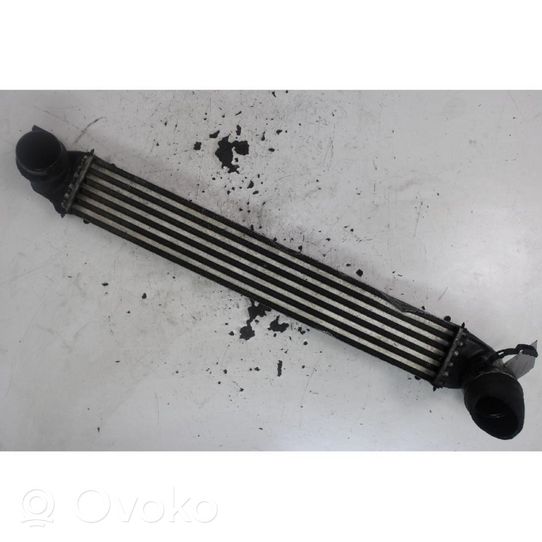 Mini Cooper Countryman R60 Radiatore intercooler 