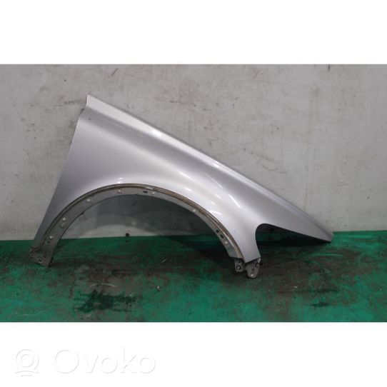 Volvo C30 Fender 