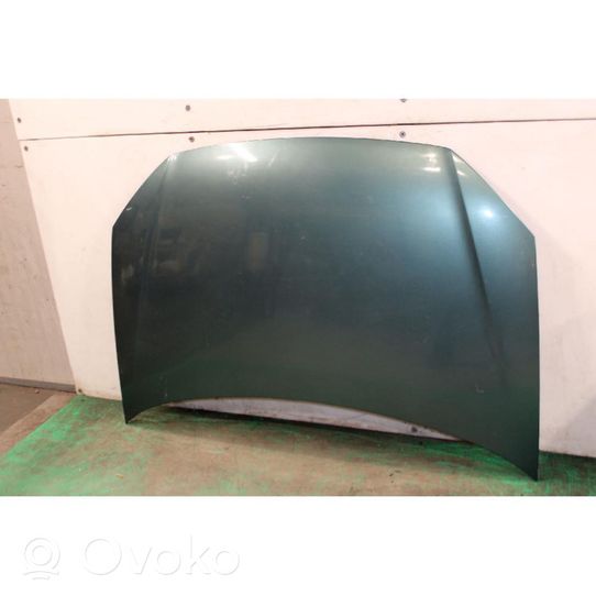 Volkswagen Polo IV 9N3 Engine bonnet/hood 